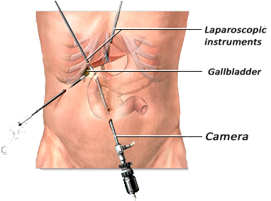 Dr. Lucian Sever Ceuca – profil profesional